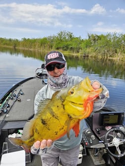 Fishing in Fort Lauderdale, Florida