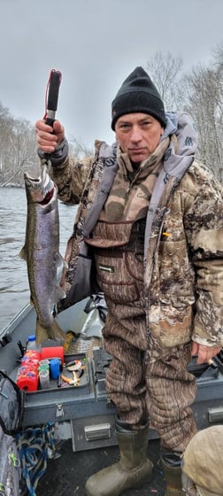 Rainbow Trout Fishing in Verona Beach, New York