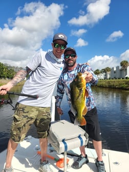 Peacock Bass Fishing in Wellington, Florida