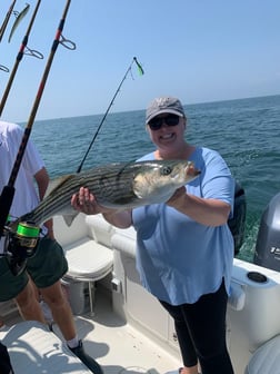 Striped Bass Fishing in Dennis, Massachusetts