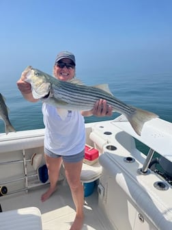 Fishing in Dennis, Massachusetts