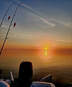 Redfish Fishing in Boothville-Venice, LA, USA