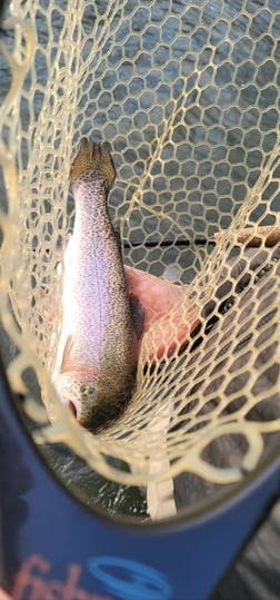 Fishing in Broken Bow, Oklahoma