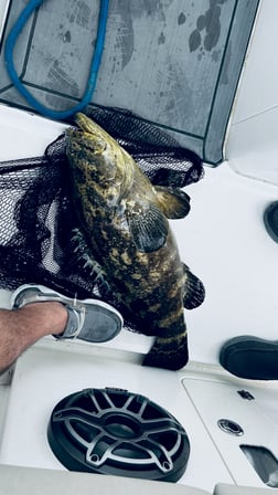 Fishing in Fort Myers Beach, Florida