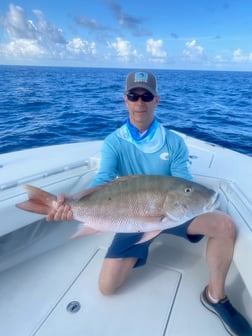 Mutton Snapper Fishing in Key West, Florida