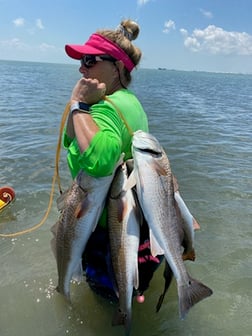 Black Drum, Flounder, Redfish, Speckled Trout Fishing in Ingleside, Texas