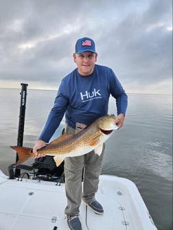 Redfish Fishing in Yscloskey, Louisiana