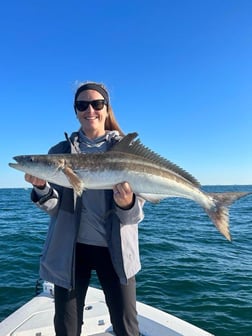 Kingfish Fishing in St. Petersburg, Florida