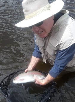 Brown Trout fishing in Littleton, Colorado