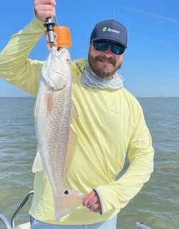 Redfish, Speckled Trout / Spotted Seatrout fishing in Galveston, Texas