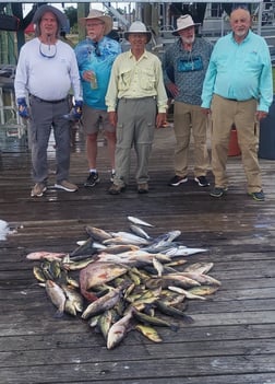 Black Drum, Redfish, Speckled Trout Fishing in Sulphur, Louisiana