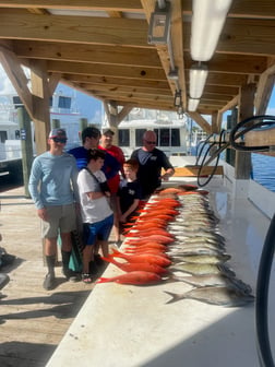 Fishing in Orange Beach, Alabama