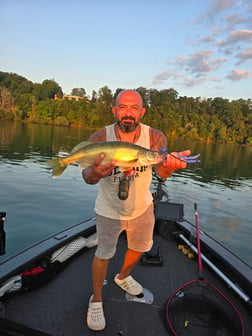 Fishing in Lewiston, New York