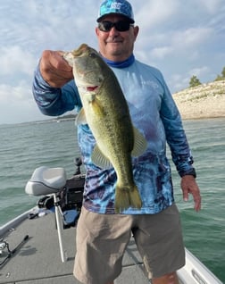 Largemouth Bass fishing in Austin, Texas