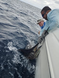 Blue Marlin Fishing in Playa Flamingo, Costa Rica