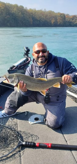 Lake Trout Fishing in Lewiston, New York