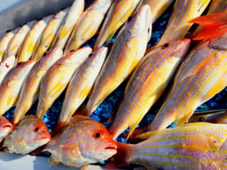 Fishing in Rockport, Texas