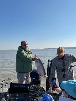 Fishing in Oxford, Mississippi