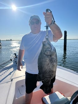 Redfish Fishing in Buras, Louisiana