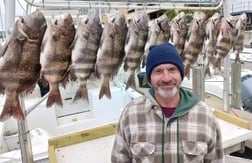 Sheepshead Fishing in Biloxi, Mississippi