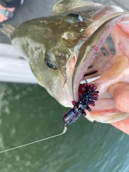 Fishing in Jonestown, Texas