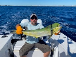 Mahi Mahi Fishing in Pompano Beach, Florida