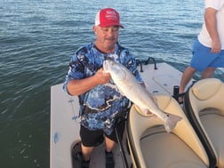 Speckled Trout / Spotted Seatrout fishing in Tiki Island, Texas