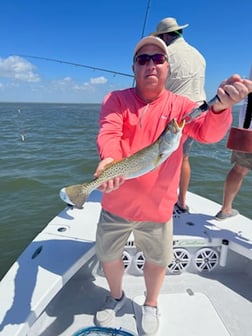 Speckled Trout / Spotted Seatrout fishing in Corpus Christi, Texas