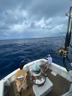 Blue Marlin fishing in San Juan, Puerto Rico