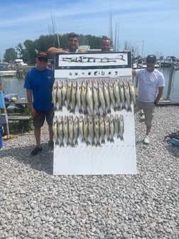 Fishing in Lakeside Marblehead, Ohio