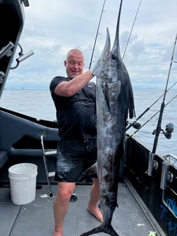 Sailfish Fishing in Miami, Florida