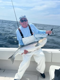 Black Seabass, Fluke fishing in Montauk, New York