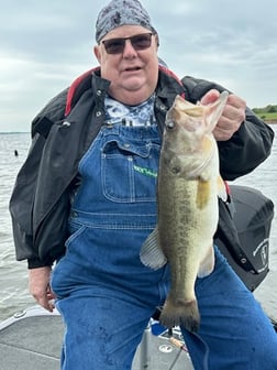 Largemouth Bass Fishing in Alba, Texas