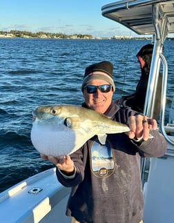 Snook Fishing in Jupiter, Florida