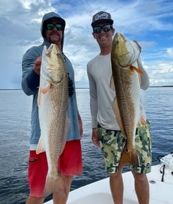 Redfish fishing in Fort Myers, Florida