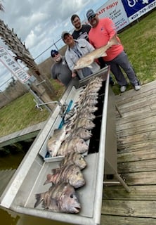 Black Drum Fishing in Galveston, Texas