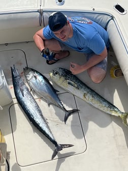 Mahi Mahi Fishing in Fort Lauderdale, Florida