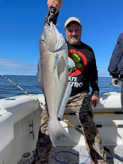 Black Seabass, Tilefish Fishing in Virginia Beach, Virginia