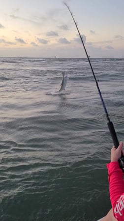 Tarpon fishing in Port O'Connor, Texas