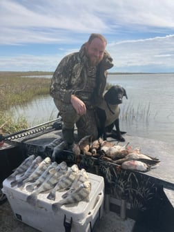 Black Drum, Sheepshead Fishing in Rockport, Texas