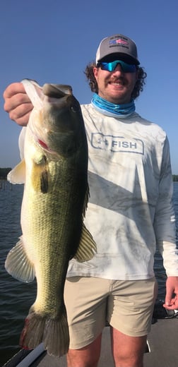 Largemouth Bass fishing in Lake Fork, Texas