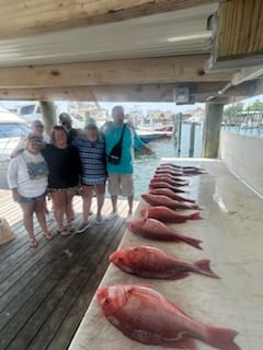 Fishing in Orange Beach, Alabama