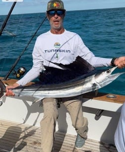 Sailfish Fishing in Marathon, Florida