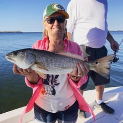 Black Drum Fishing in Cape Coral, Florida