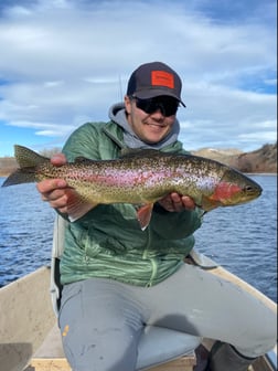 Rainbow Trout Fishing in Deer Lodge, Montana