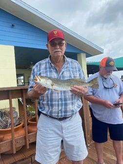 Snook Fishing in Oak Hill, Florida