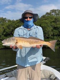 Redfish Fishing in Tarpon Springs, Florida