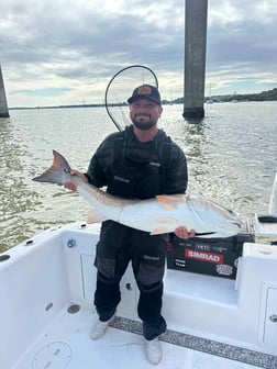 Fishing in Mount Pleasant, South Carolina