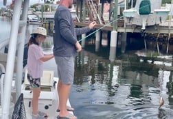 Mangrove Snapper, Sheepshead Fishing in St. Petersburg, Florida