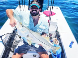 Snook Fishing in Sarasota, Florida